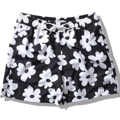 Preim Water Shorts Black