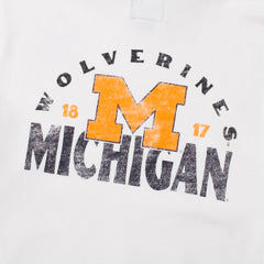University of Michigan Wolverines Arcitext Headline Hoodie Sandstone