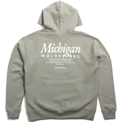 University of Michigan Wolverines Mondo Foundation Hoodie System Grey