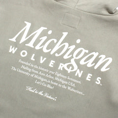 University of Michigan Wolverines Mondo Foundation Hoodie System Grey