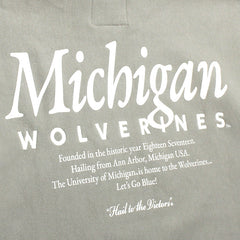 University of Michigan Wolverines Mondo Foundation Hoodie System Grey