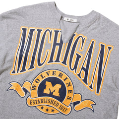University of Michigan Wolverines Women's Banners Out Oversized Notch Neck T-Shirt Quartz Grey