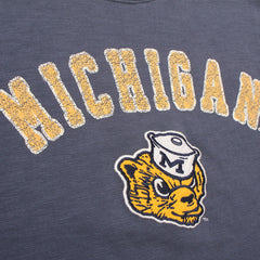University of Michigan Wolverines Women's Elmore Well Worn Heavy Slub Crop T-Shirt Rusted Navy