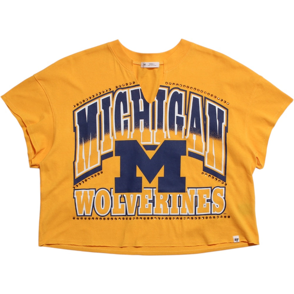 University of Michigan Wolverines Women