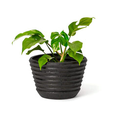 Racine Planter Carbon