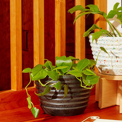 Racine Planter Carbon