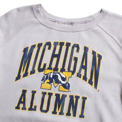 University of Michigan Wolverines Women's Alumni Arch & Wolverine M French Terry Crewneck Sweatshirt Ice Grey