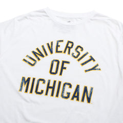 University of Michigan Wolverines Arched Full Text Tri-Blend T-Shirt Streaky White