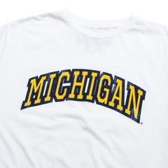 University of Michigan Wolverines Thick Outline Arch Tri-Blend T-Shirt Streaky White