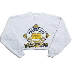 University of Michigan Bar M, Circle & Dots Velva Sheen Cropped Crewneck Sweatshirt Ash Grey (XL)