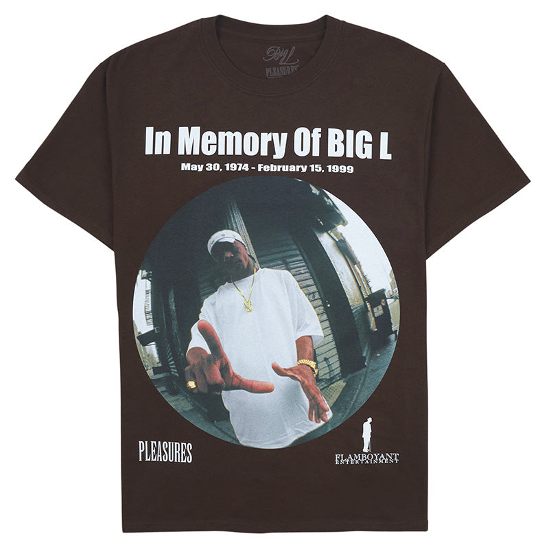 PLEASURES - Big L In Memory T-Shirt Brown –